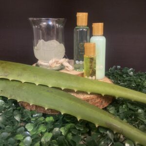 Kit Viajero Sábila - Hidratación Profunda