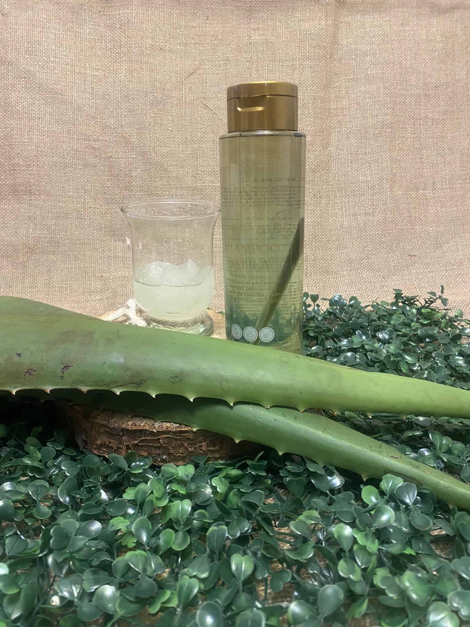 Sábila_Shampoo_Belletza_Extracto_Natural_500ml
